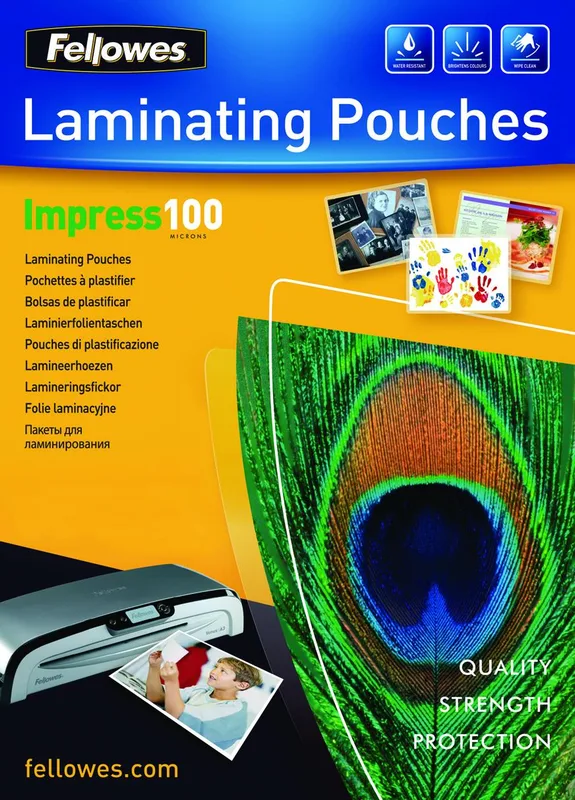 Fellowes Pouch 100 100PCS