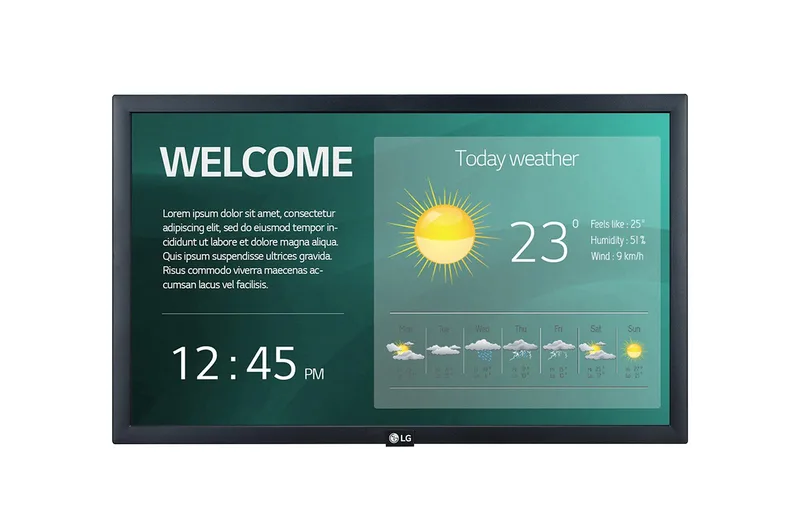 LG Display 22SM3G-B monitor