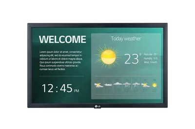LG Display 22SM3G-B monitor