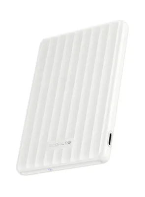 EcoFlow Rapid akupank