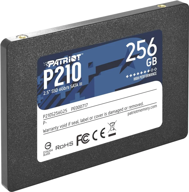 Patriot P210 TBW 120 TB ketas