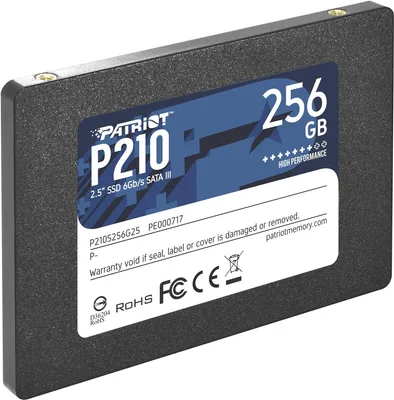 Patriot P210 TBW 120 TB ketas