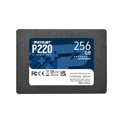 Patriot P220 TBW 120 TB ketas
