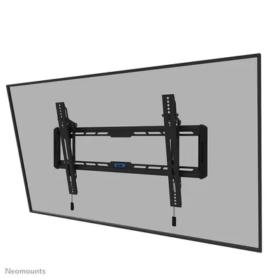Neomounts Wall WL35-550BL16 kinnitus