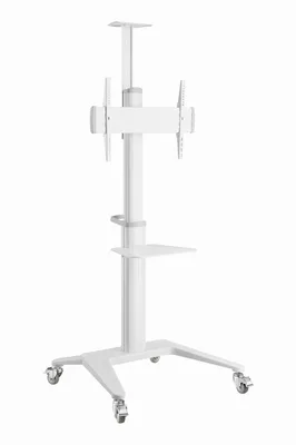 Gembird Floor 37-70" TVS-70T-02-W kinnitus