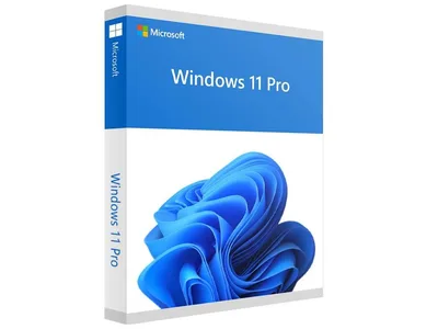 Microsoft Software Win Pro FPP 11 64-bit Eng Intl USB