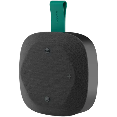 Canyon Hexagon 10 IPX5 kõlar