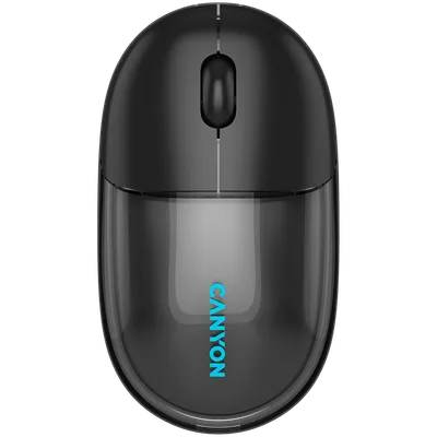 Canyon OnClick 24 Transparent hiir
