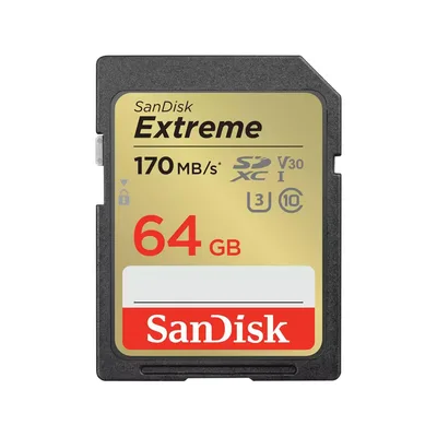 SanDisk SDXC UHS-1 SDSDXV2-064G-GNCIN mälukaart