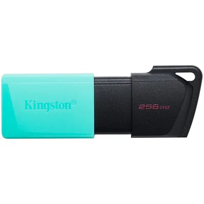 Kingston Flash Dtxm USB3.2 mälupulk