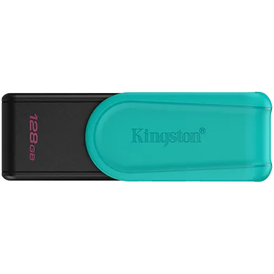 Kingston Portable Gen 1 mälupulk