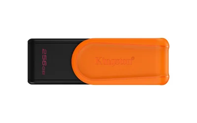 Kingston Flash Dtxs USB3.2 mälupulk