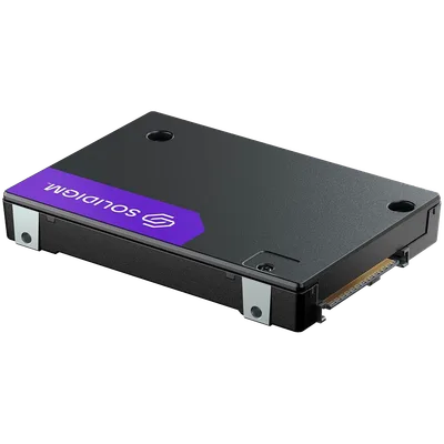 Solidigm Series Generic Single D7-PS1030 ketas