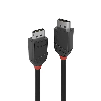 Lindy Display Port 2 m videokaabel