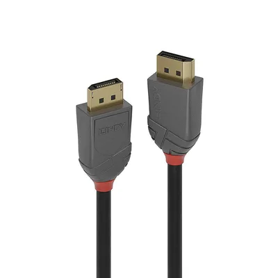 Lindy Display Port Anthra 2 m videokaabel