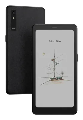 Onyx Boox E-Reader Palma 2 Pro e-luger