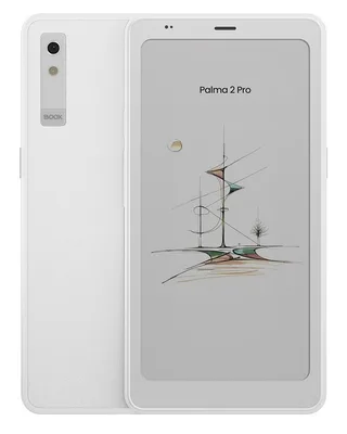 Onyx Boox E-Reader Palma 2 Pro e-luger