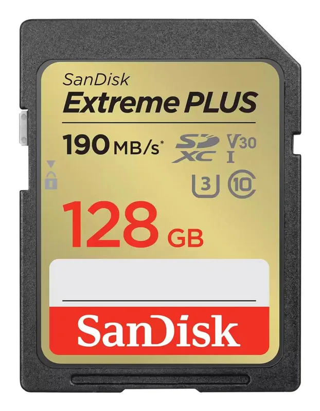 SanDisk SDXC UHS-1 SDSDXWA-128G-GNCIN mälukaart