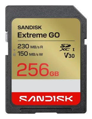 SanDisk SDXC UHS-I SDSDXGN-256G-GNCIN mälukaart