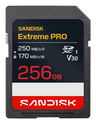 SanDisk SDXC UHS-1 SDSDXXJ-256G-GSCIN mälukaart