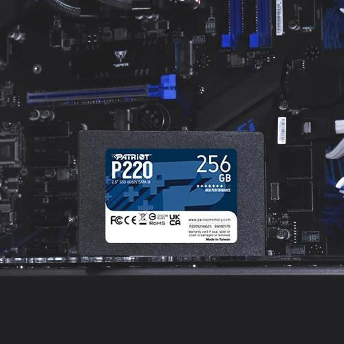 Patriot Memory P220 256GB ssd