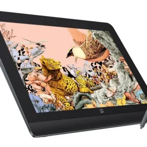 XP-Pen Artist Pro 16 (Gen 2) 16" graafikalaud