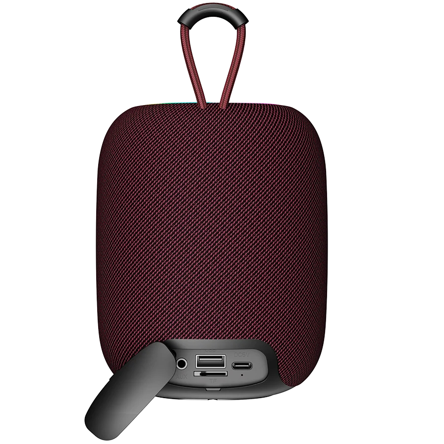 Canyon BSP-8 10W kõlar