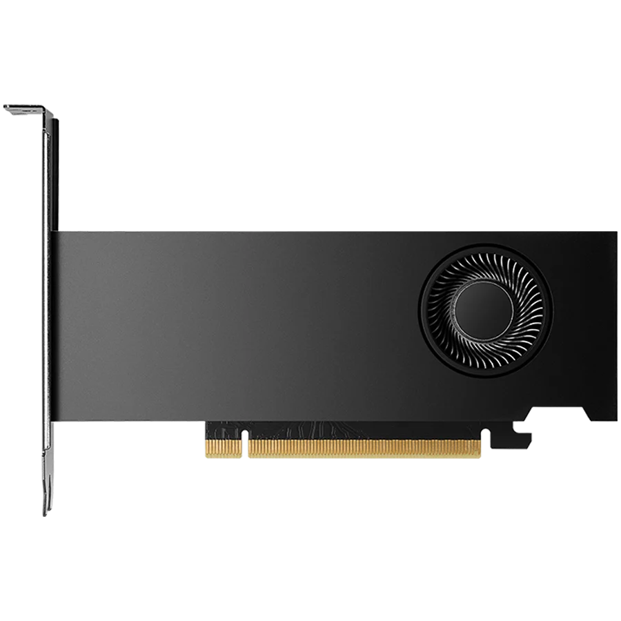 PNY NVIDIA RTX 2000 Ada 16GB Low Profile graafika kaart