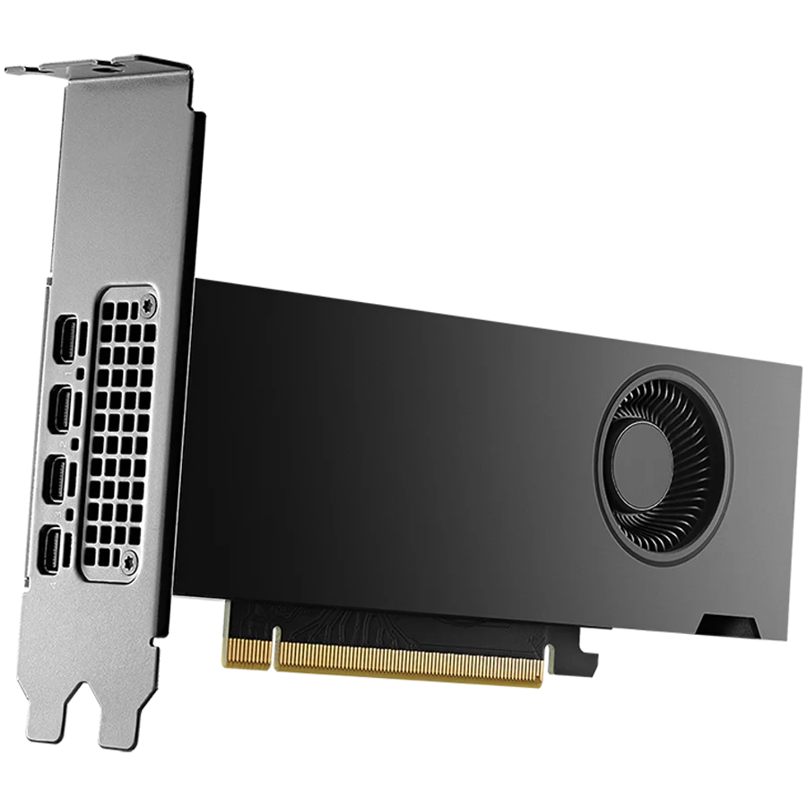PNY NVIDIA RTX 2000 Ada 16GB Low Profile graafika kaart