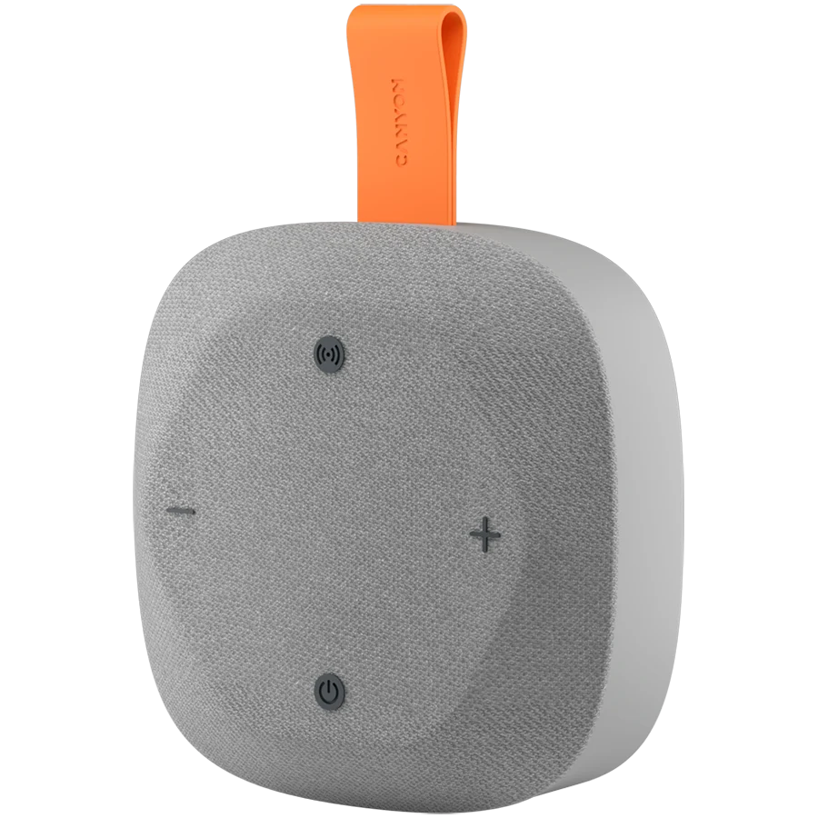 Canyon Hexagon 10 TWS 8W IPX5 kõlar