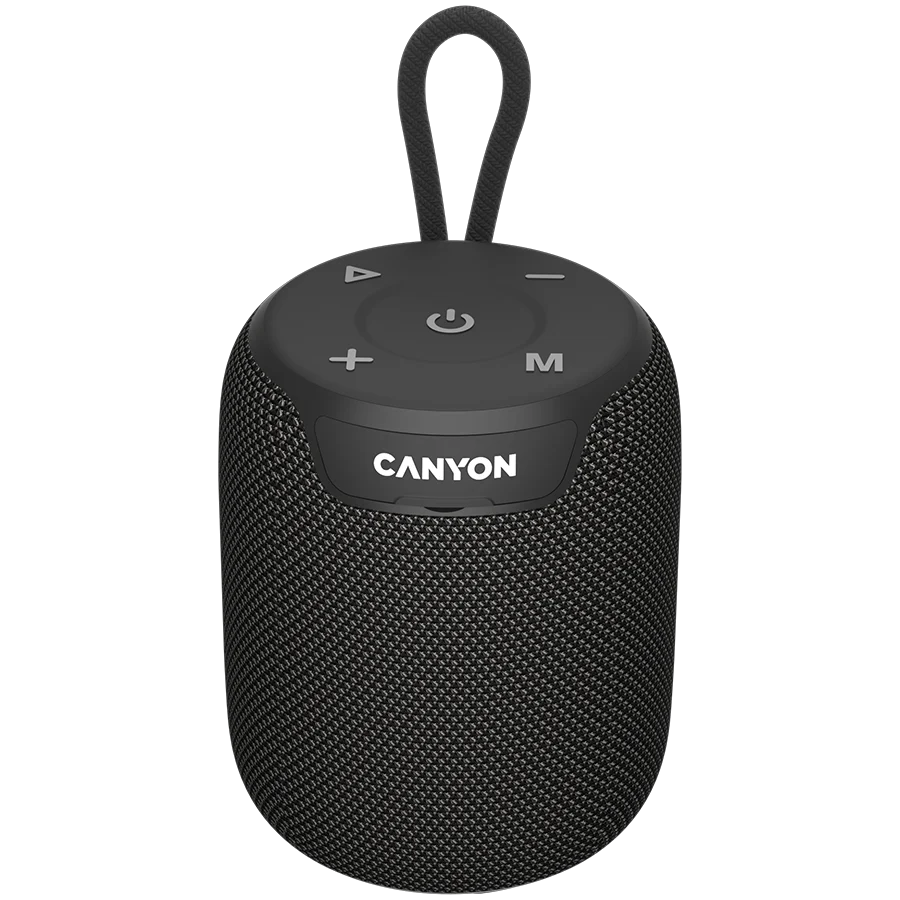 Canyon OnMove 9 IPX6 TWS 10W kõlar